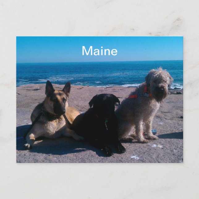 Postal Maine Vacation (Anverso)