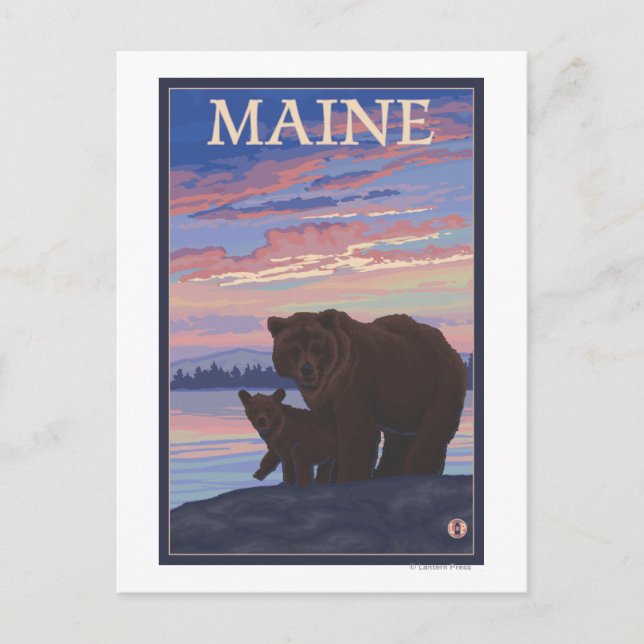 Postal MaineBear y Cub (Anverso)