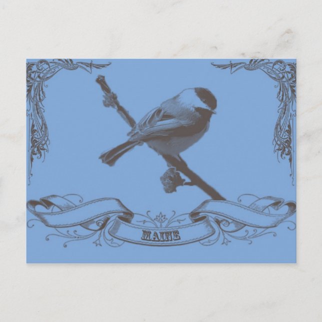 Postal mainechickadee (Anverso)