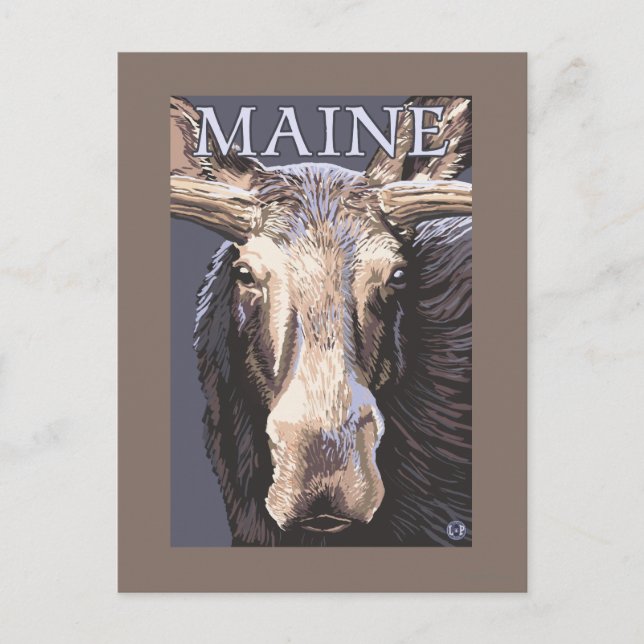 Postal MaineMoose Up Close (Anverso)