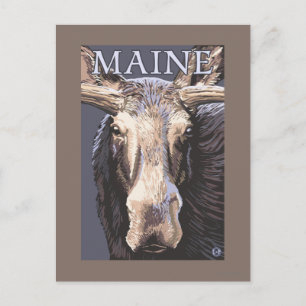 Postal MaineMoose Up Close