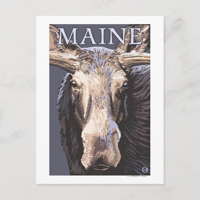 Postal MaineMoose Up Close (Anverso)