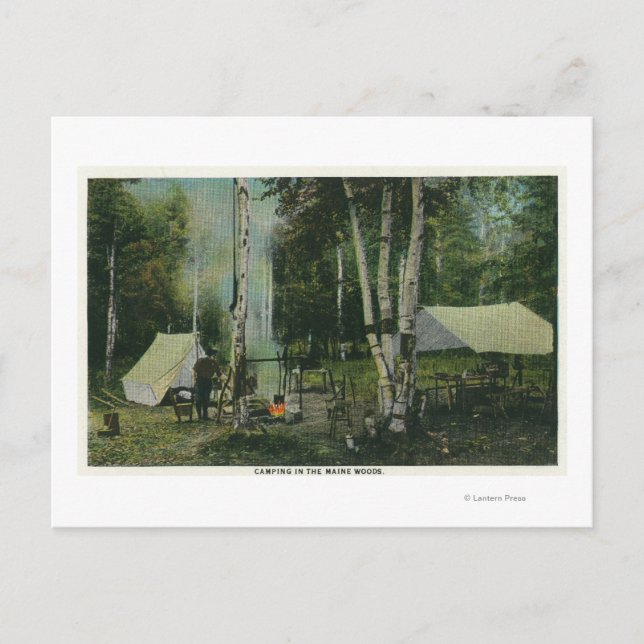 Postal MaineView de un camping en el bosque Maine (Anverso)