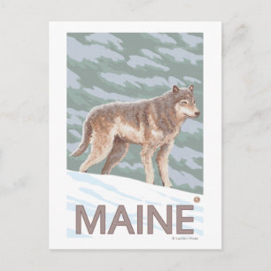 Postal MaineWolf Scene