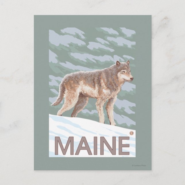 Postal MaineWolf Scene (Anverso)