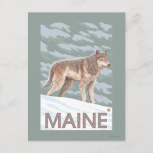 Postal MaineWolf Scene