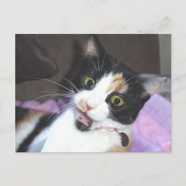 Postal maisie (Anverso)