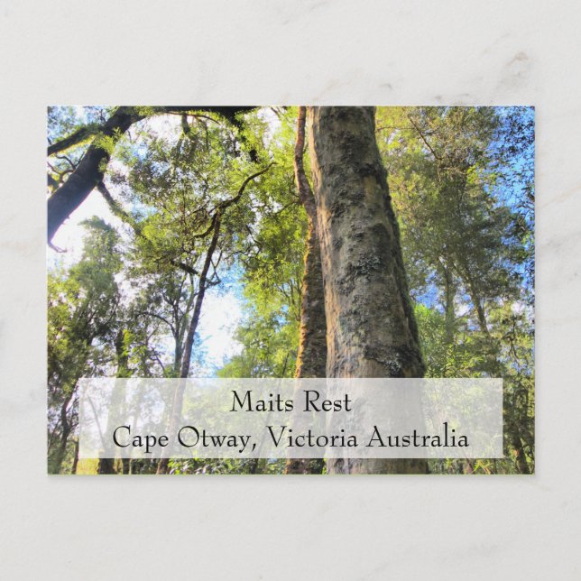 Postal Maits Rest Rainforest Walk Cabo Otway Victoria AU (Anverso)