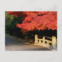 Postal Maíz japonés rojo