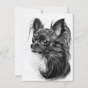 Postal Majestad de Chihuahua - Mano pintada con fino deta