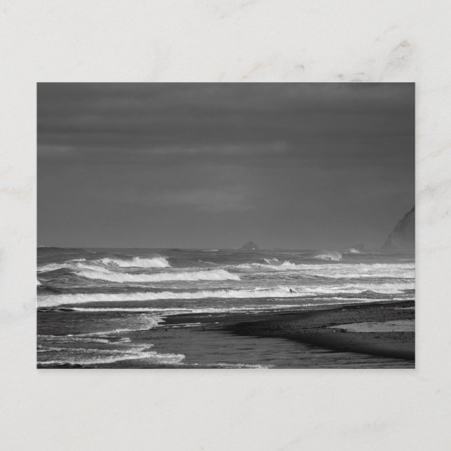 Postal Majestad de la costa de Oregón en Monocromo (Anverso)