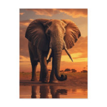 Majestad de Savannahs