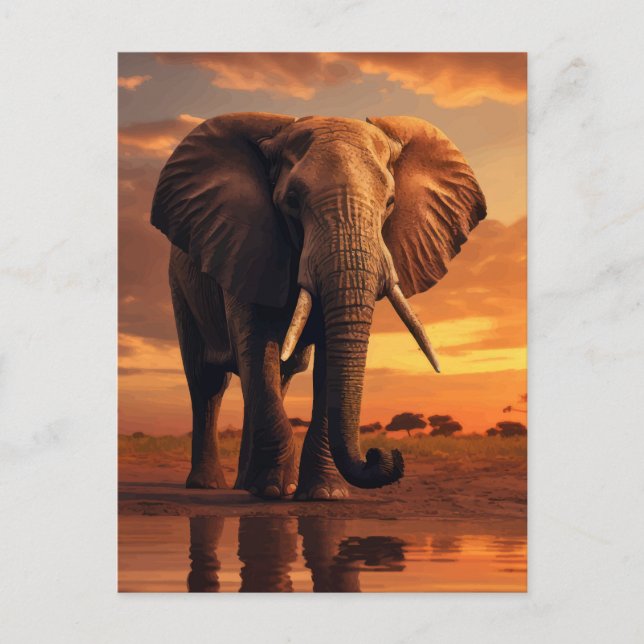 Postal Majestad de Savannahs (Anverso)