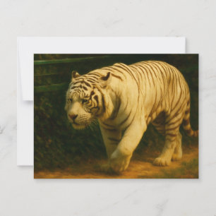 Postal Majestad del tigre blanco - Impresión de arte de v