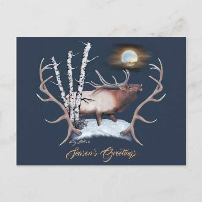 Postal Majestic Bull Elk (Anverso)