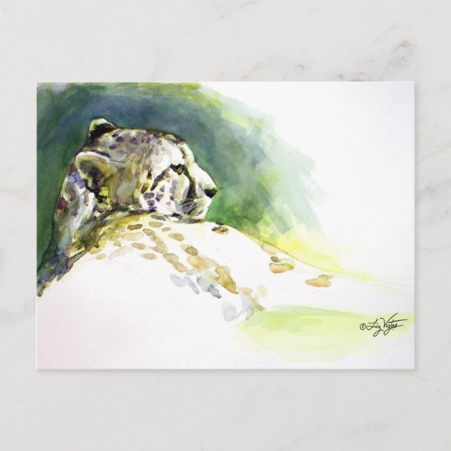 Postal Majestic Cheetah Postcard (Anverso)