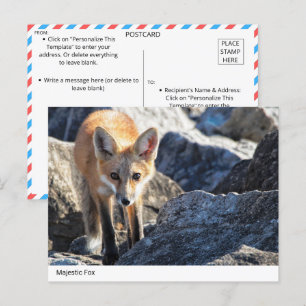 Postal Majestic Fox