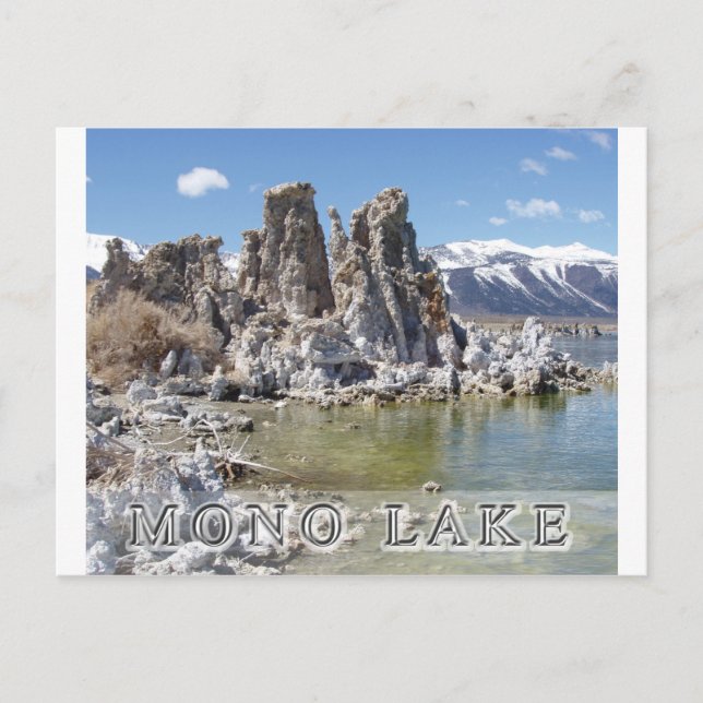Postal Majestic Mono Lake (Anverso)