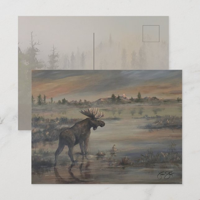 Postal Majestic Moose (Anverso / Reverso)