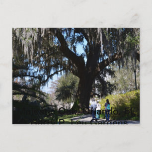 Postal Majestic Mossy Oak en los jardines Harry P. Leu