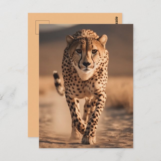 Postal Majestic Wild Cheetah Running Photo (Anverso / Reverso)