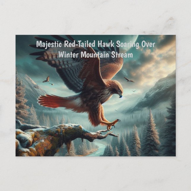 Postal Majestuoso Hawk de cola roja (Anverso)