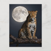 Majestuoso Leopardo y Luna Llena