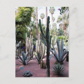Postal majorelle plantas exóticas