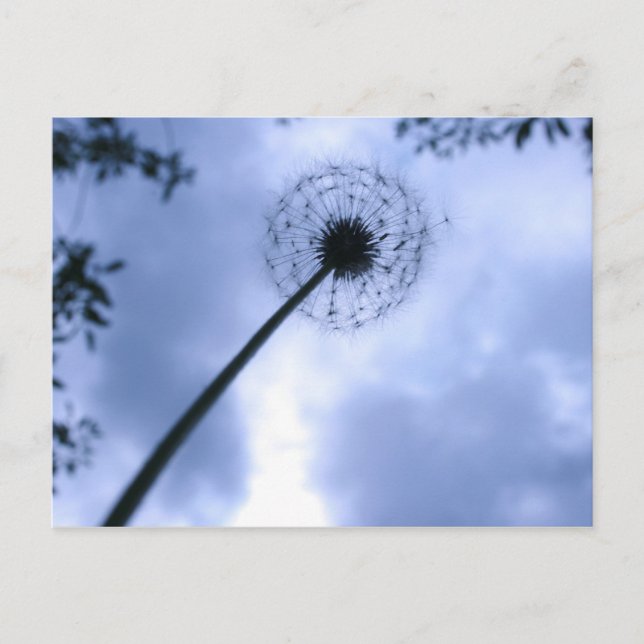 Postal Makin' Wings (Anverso)