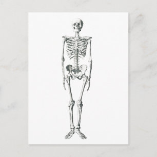 Postal Mal para el hueso