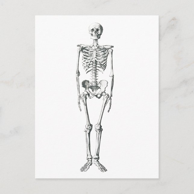 Postal Mal para el hueso (Anverso)