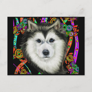 Postal Malamute de Alaska