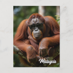 Postal Malasia Orangutan con gafas de sol