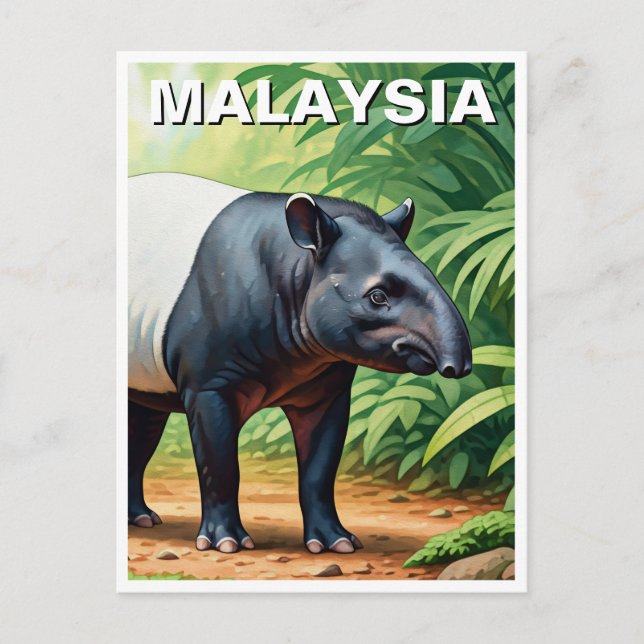 Postal Malasia: Tapir malayo (Anverso)
