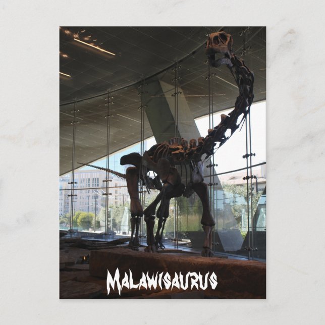 Postal Malawisaurus (Anverso)