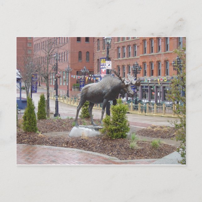 Postal ¡Maldito! San Juan, NB (Anverso)