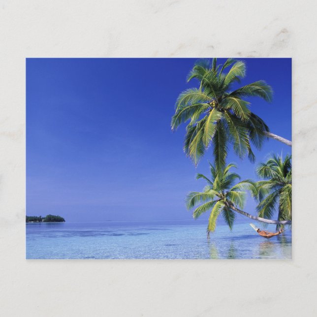 Postal Maldivas, atolón Felidhu. Hombre relajado en hamac (Anverso)