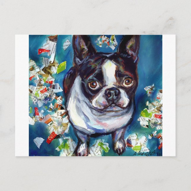 Postal Malhechor de Boston Terrier Shredder (Anverso)