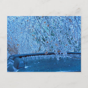 Postal Malibu Icicles