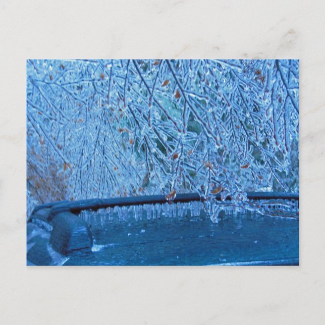 Postal Malibu Icicles (Anverso)