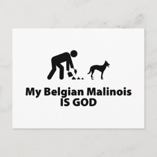 Postal Malinois belga