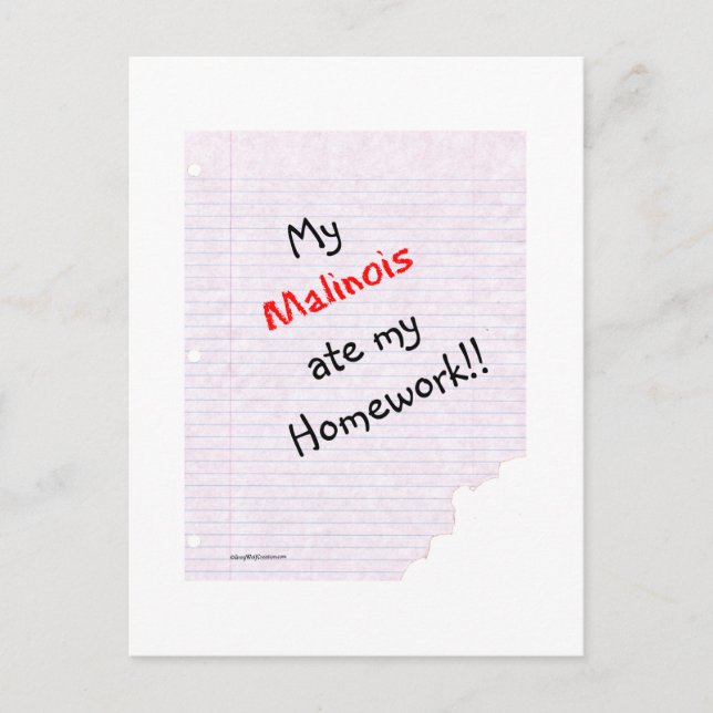 Postal Malinois belga comió mi hogar (Anverso)