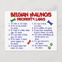 MALINOIS BELGA PL2