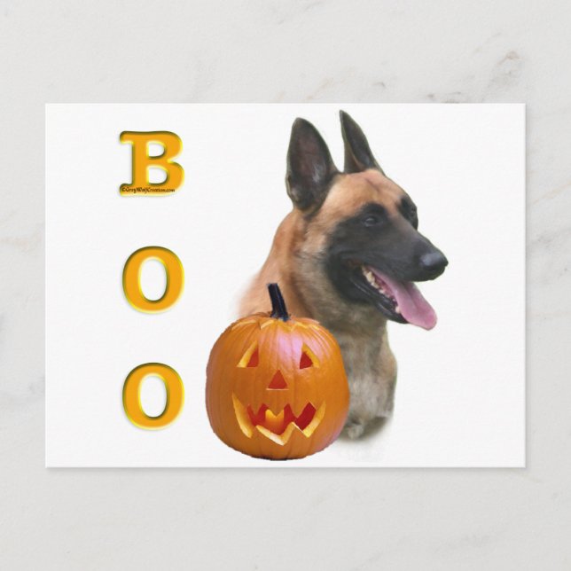 Postal Malinois Boo de Bélgica (Anverso)
