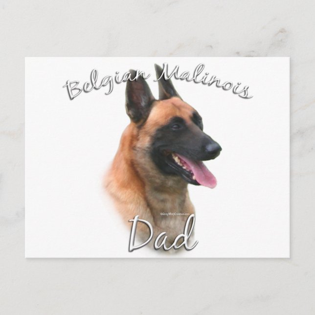Postal Malinois Dad 2 de Bélgica (Anverso)