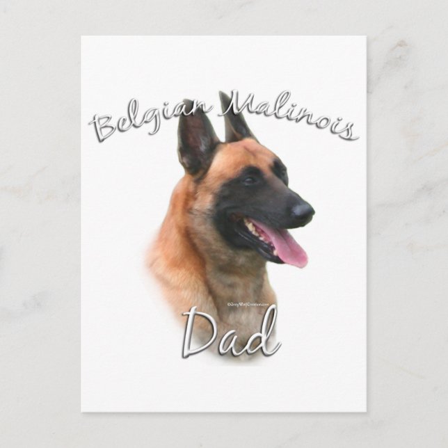 Postal Malinois Dad 2 de Bélgica (Anverso)