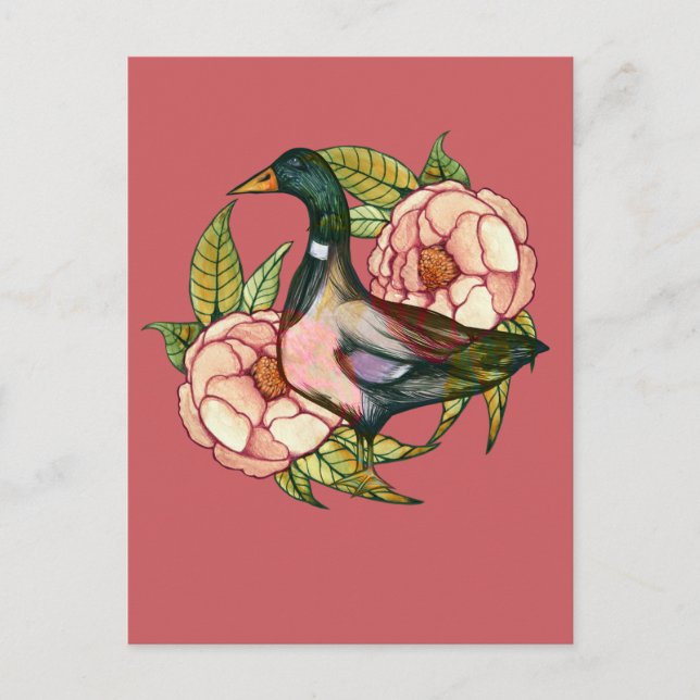 Postal Mallard Duck Peony Nature Lovers                   (Anverso)