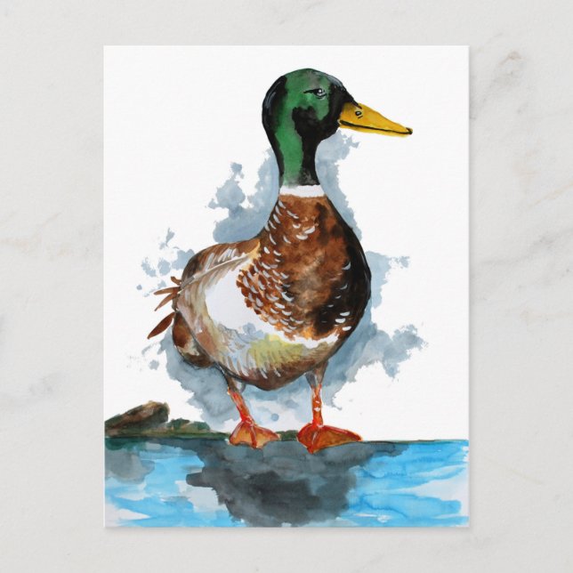 Postal Mallard Duck Watercolor (Anverso)