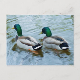 Postal Mallard Ducks