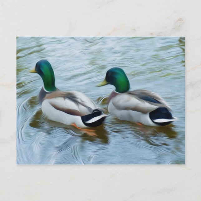 Postal Mallard Ducks (Anverso)